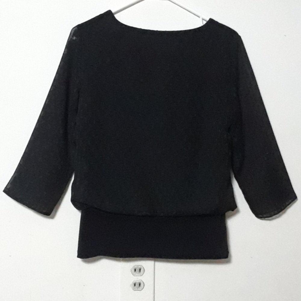 Sheer Blouse - image 3